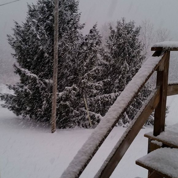 Meet your Posher, Christine - Picture 1 of 1